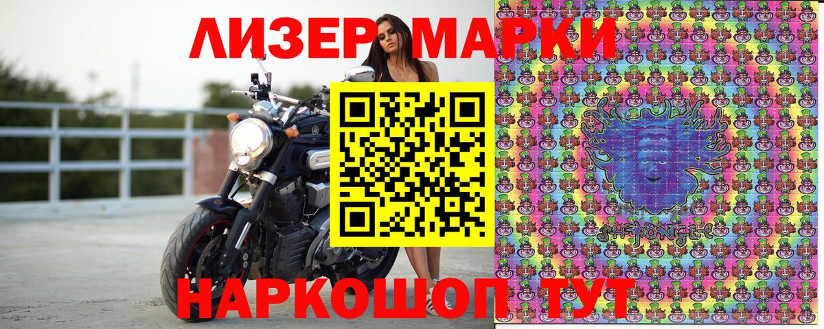 Губкин  Марки NBOMe  Наркотические марки 1,8мг  Вход с VPN  Наркотические марки 1,8мг 
